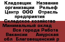 Кладовщик › Название организации ­ Рельеф-Центр, ООО › Отрасль предприятия ­ Складское хозяйство › Минимальный оклад ­ 28 000 - Все города Работа » Вакансии   . Амурская обл.,Благовещенский р-н